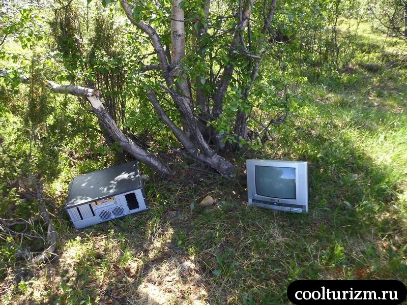 интересные грибы в Норвегии