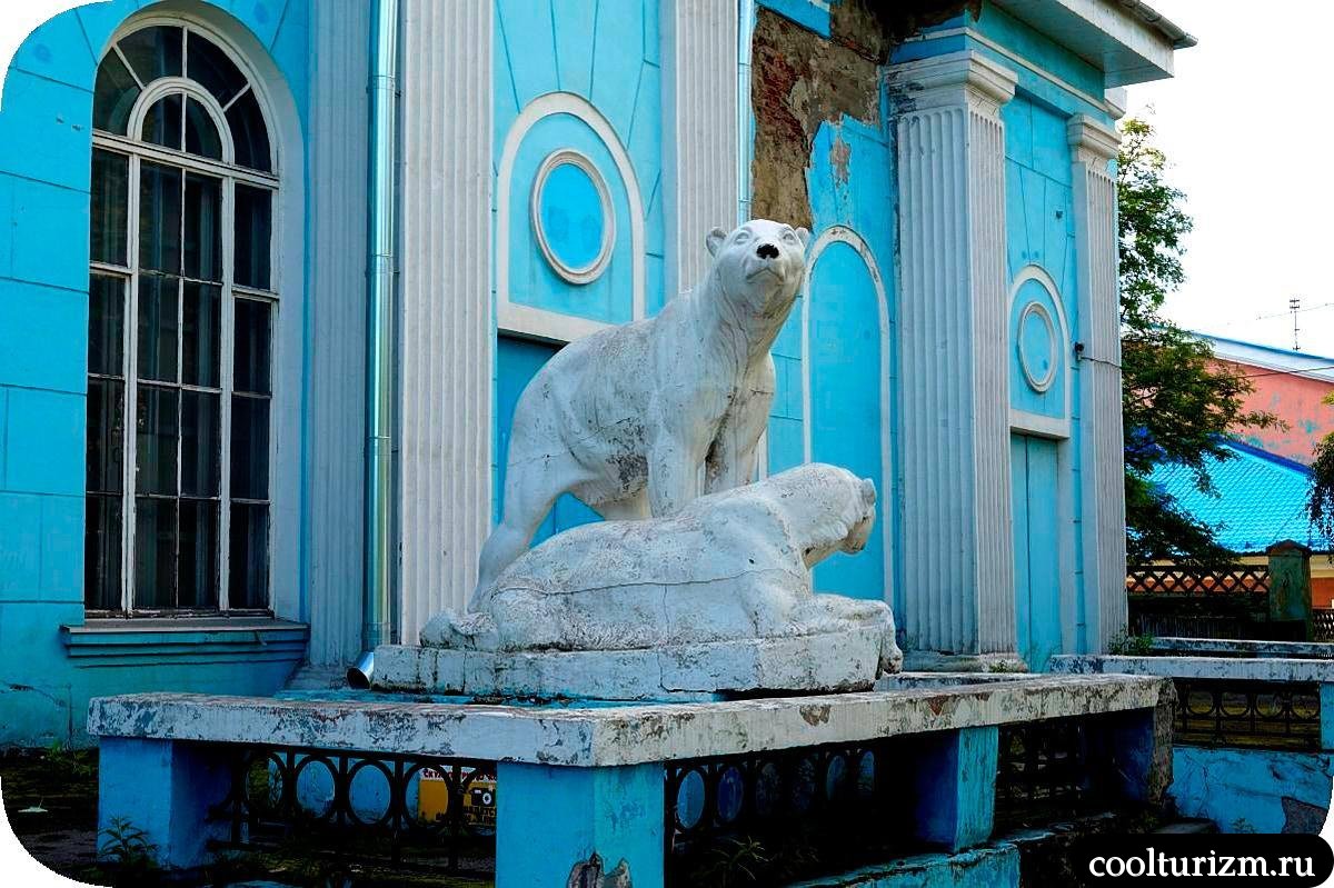 Дк моряков медведи Мурманск
