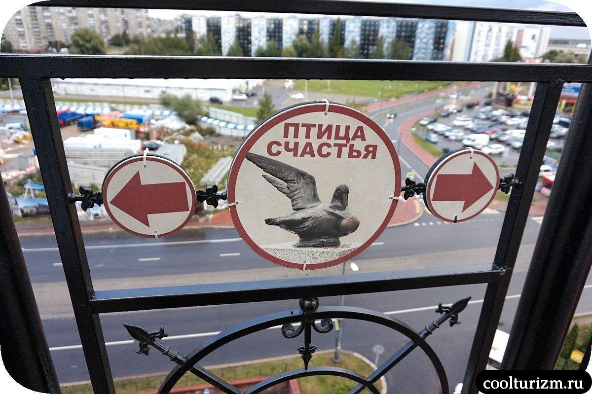 Башня Маяк Калининград чайка с яйцом