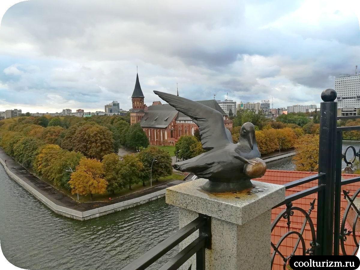 Башня Маяк Калининград виды