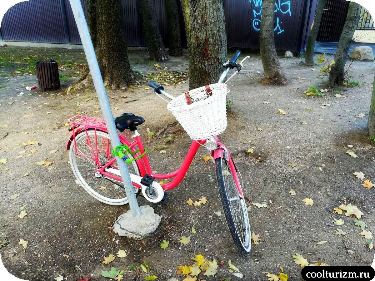 башня Врангеля Калининград