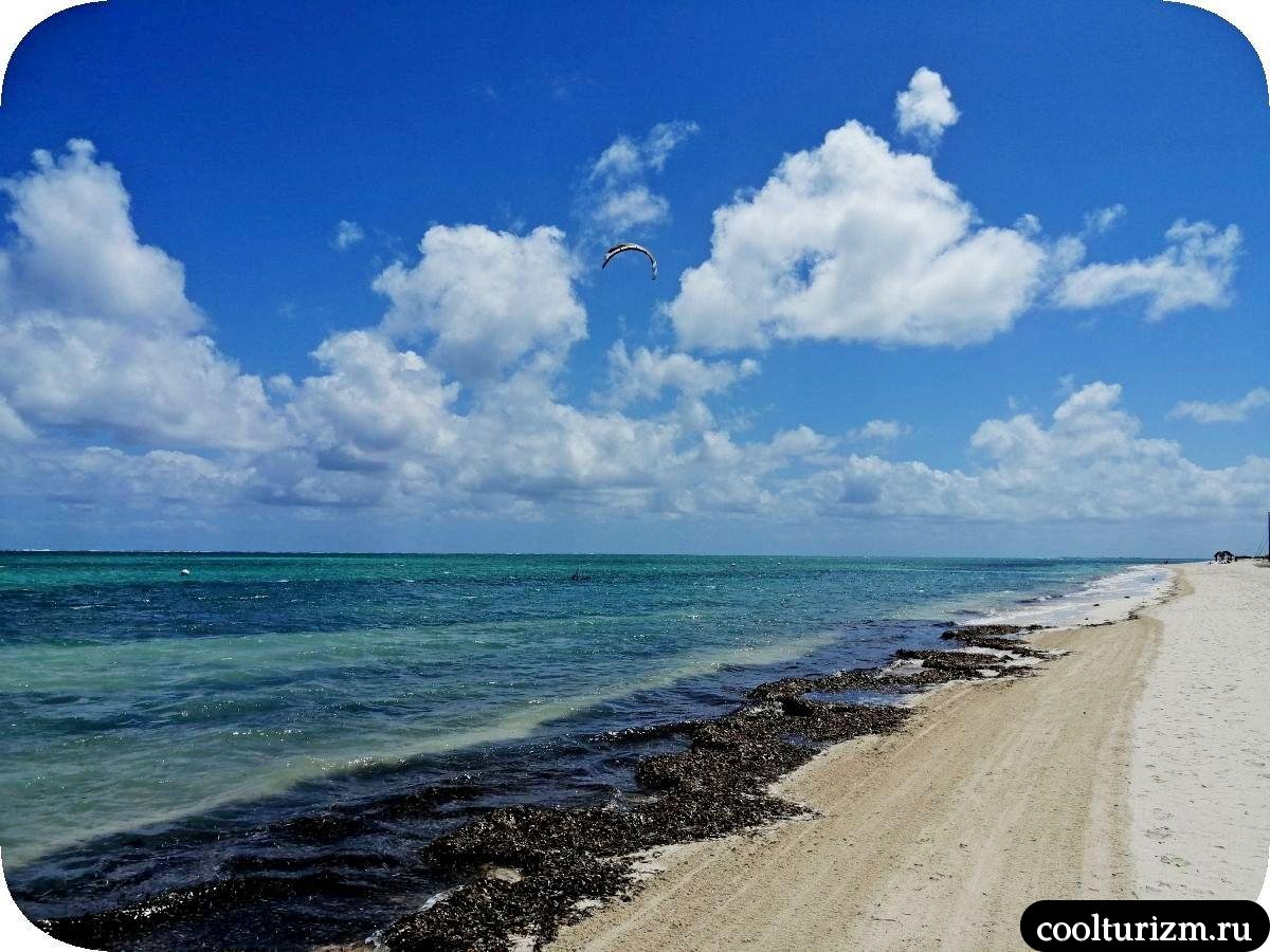 водоросли на пляже Санта Лусия Куба