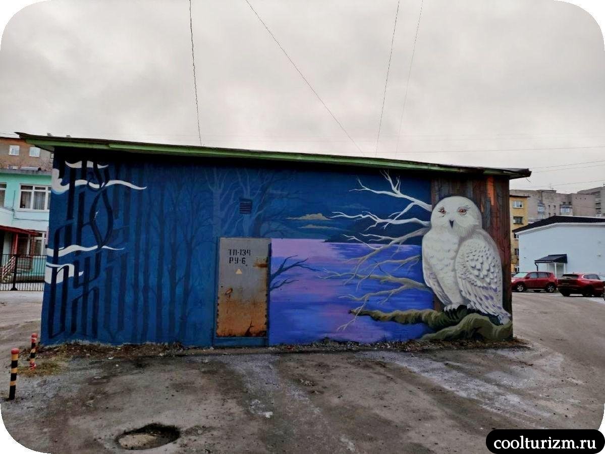 Птичья история в Мурманске на Софьи Перовской