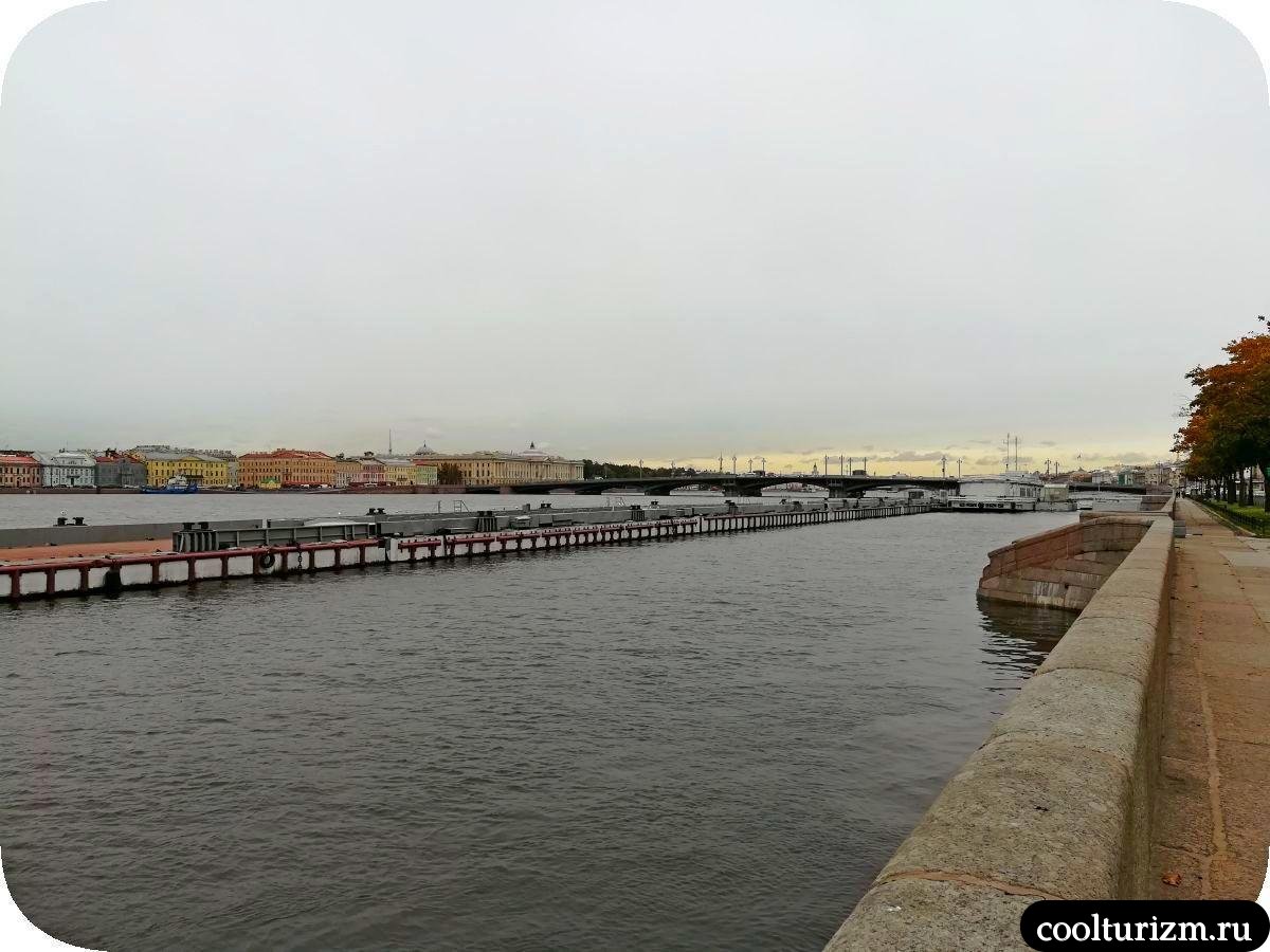 вид на Благовещннский мост Спб