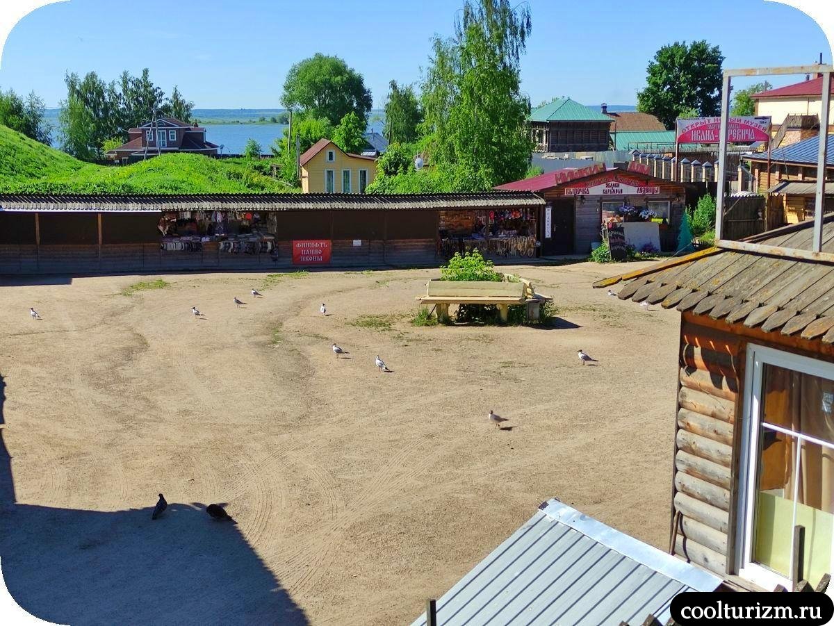 чайки на рынке 