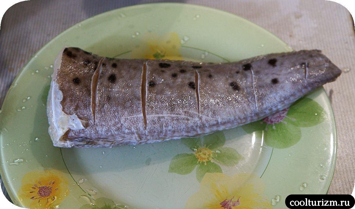 засолка пестрой зубатки