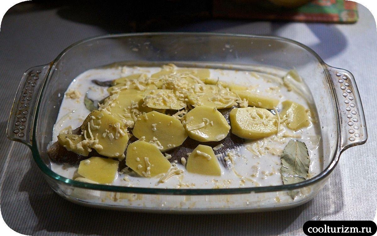 Морской ерш с картофелем в сливках как готовить
