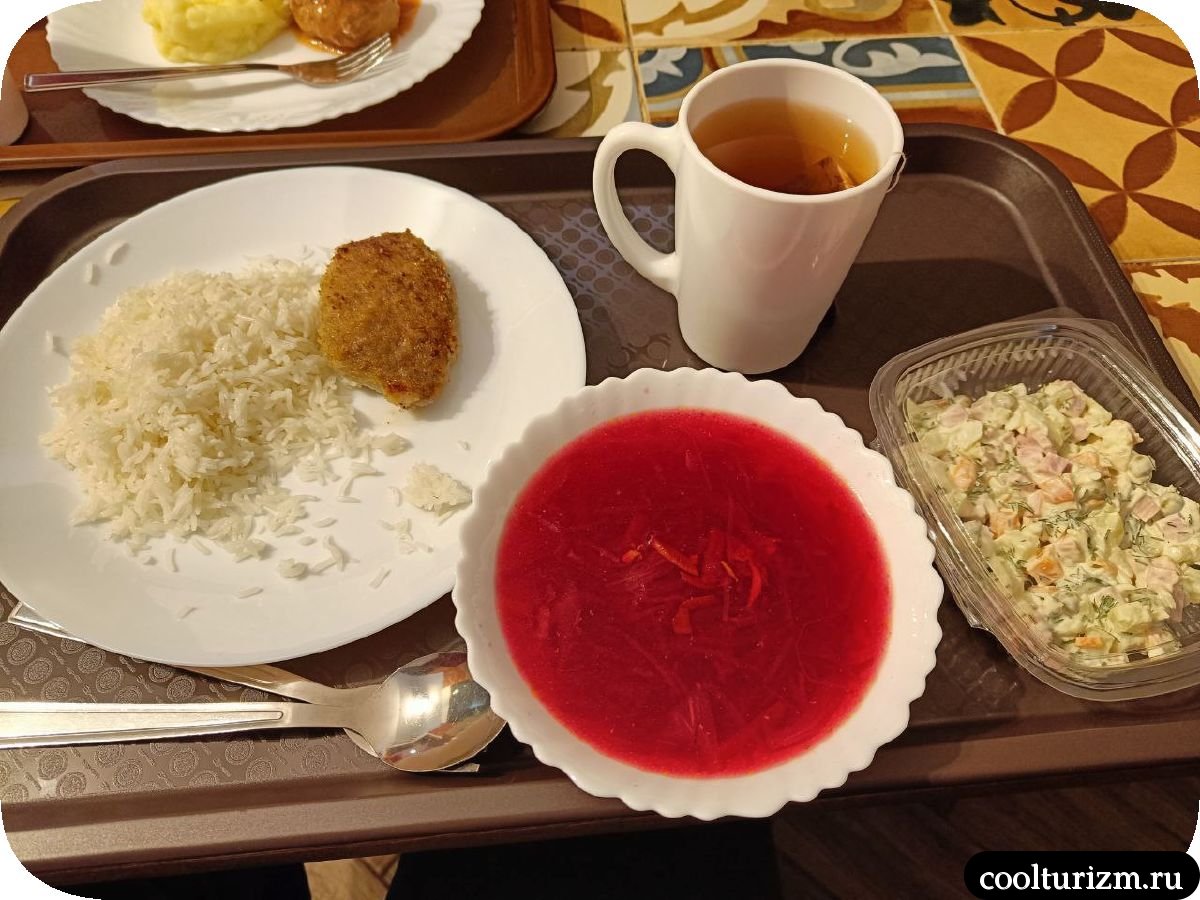 Спб карповка солнечный день