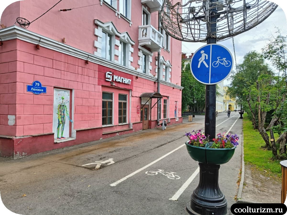 Мальчик-одуванчик в Мурманске