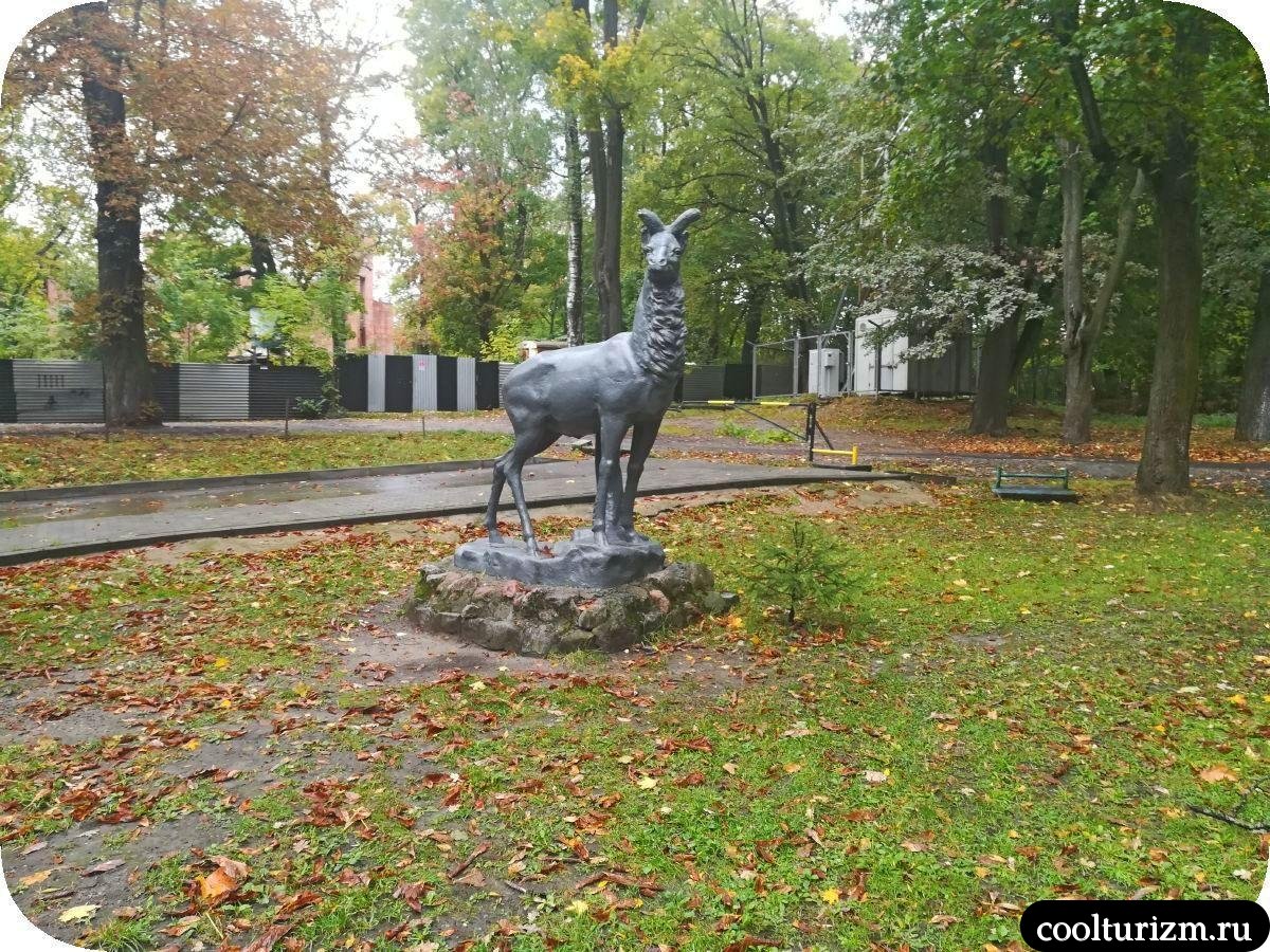 скульптура Олень Калининград